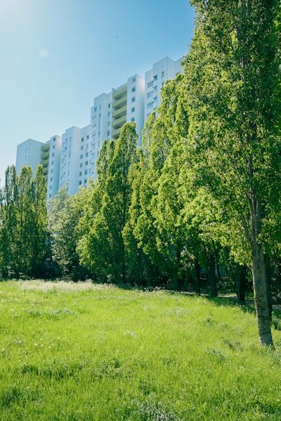 a grassy field in front of a tall building